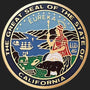 Metal Stickems 2-inch California State Seal metal sticker with detailed colorful emblem and adhesive backing.