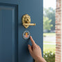 Metal Stickems Physical Fitness Excellence round metal sticker applied to a blue door near a brass lion door knocker