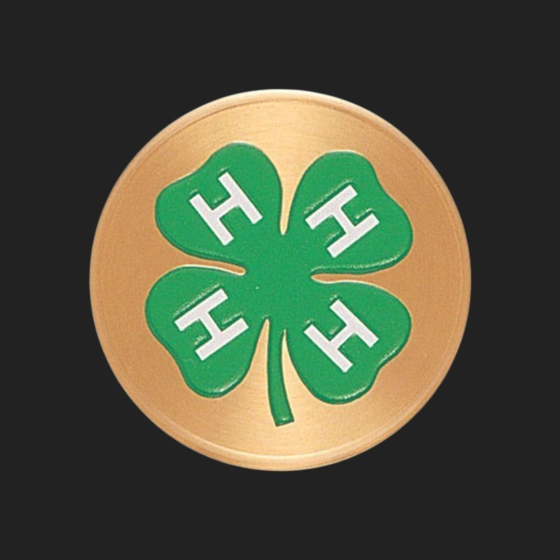 Metal Stickems 2-inch four-leaf clover metal emblem with green enamel, white H lettering, and polished gold-tone finish.