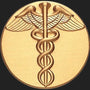 Metal Stickems 2-inch gold-tone medical caduceus emblem sticker for stethoscopes and medical equipment.