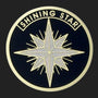 Metal Stickems 2-inch round metal sticker featuring a black background and a textured silver shining star emblem.