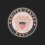 Metal Stickems 2-inch United States Navy metal emblem sticker featuring the official seal with eagle and anchor.