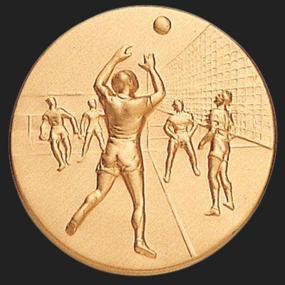 Metal Stickems 2-inch circular metal sticker featuring a raised-relief design of a volleyball team in action.